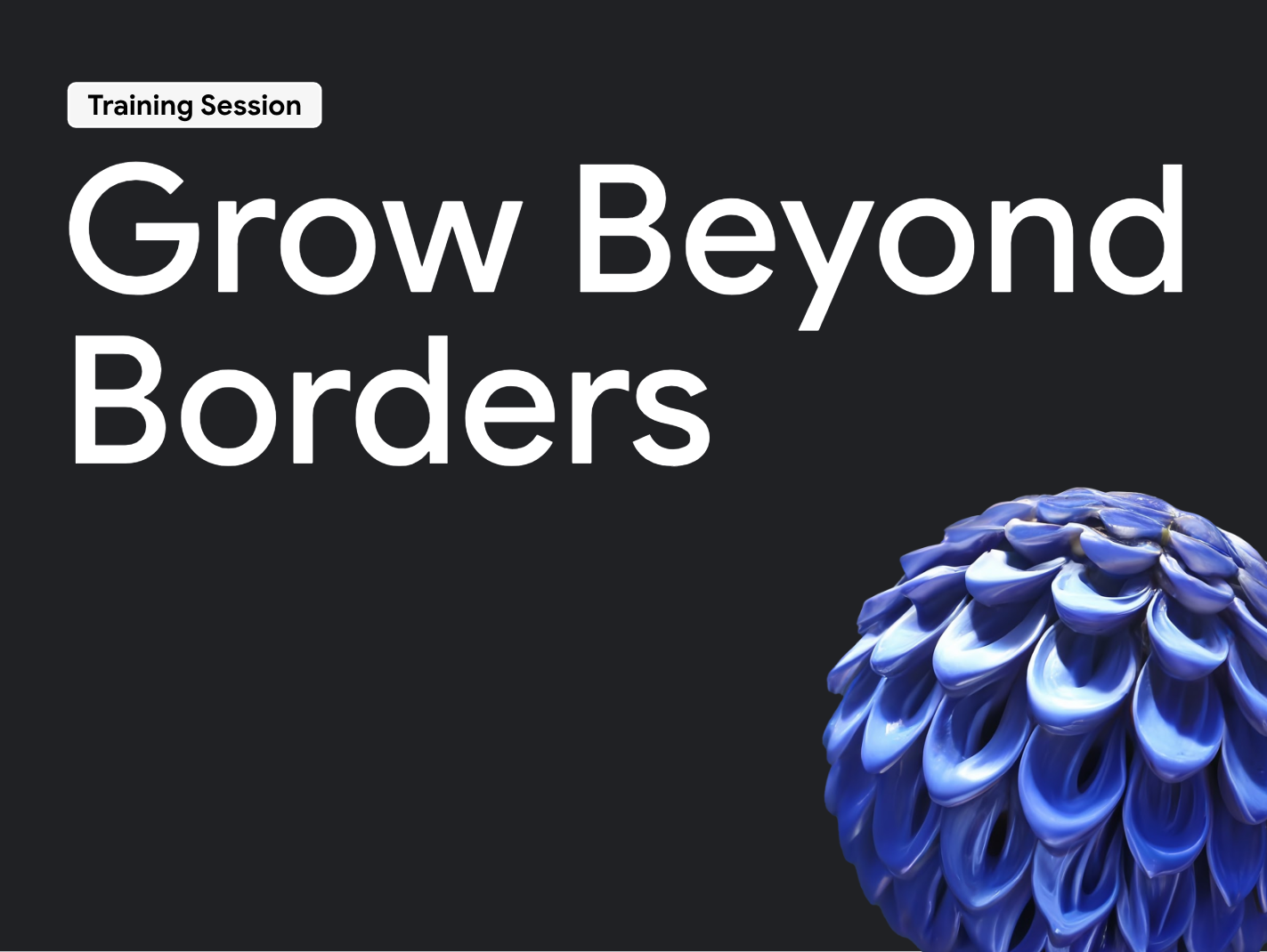 Grow Beyond Borders – Training by Google